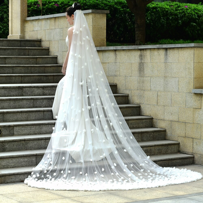 Vee Floral Embellished Cathedral Veil