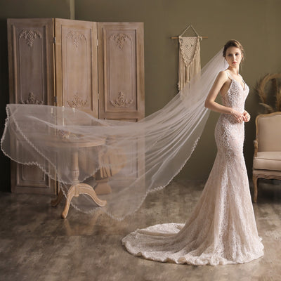 Ximena Vine Lace Cathedral Veil