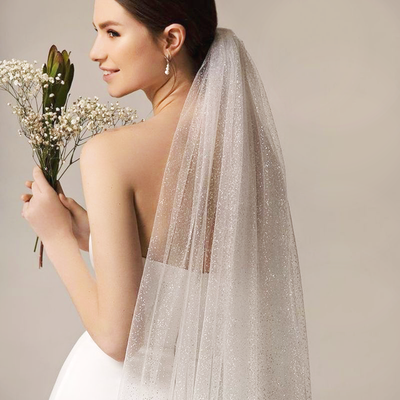 Alexandria Luxury Moonshine Wedding Veil