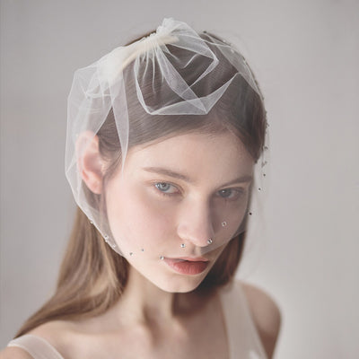 Grace Crystal Beaded Birdcage Blusher Veil